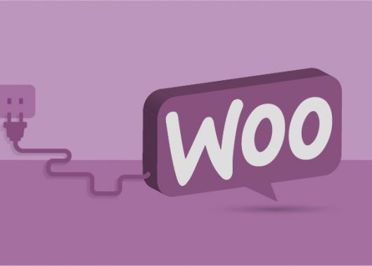 5 Best WooCommerce Extensions to Improve Online Store Performance