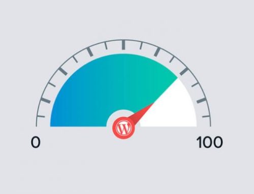 WordPress Website Facing Speed Issues? Optimize it With These Tricks!