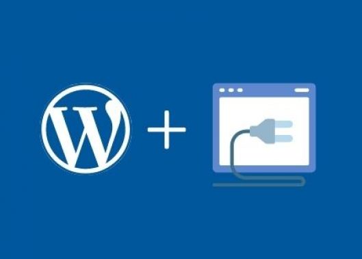 How to Use WordPress Plugins to Create a WordPress Staging Site?
