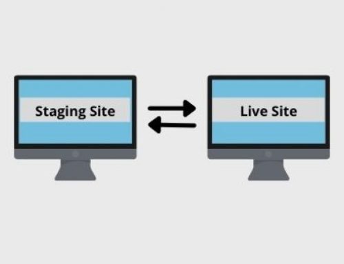 WordPress Staging Site: Must-Have for Keeping Website Functions Smooth and Steady
